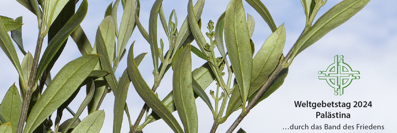 Weltgebetstag 2024 Palästina